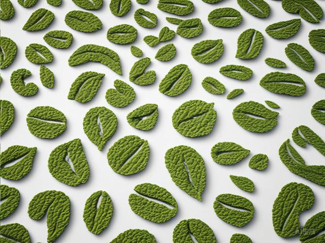 The Essence of White Tea: A Glimpse into China's Ancient Tea Culture