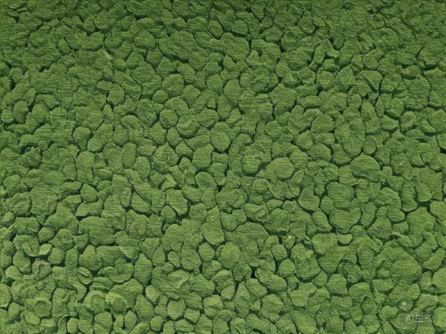 The Art and History of Chinese Oolong Tea