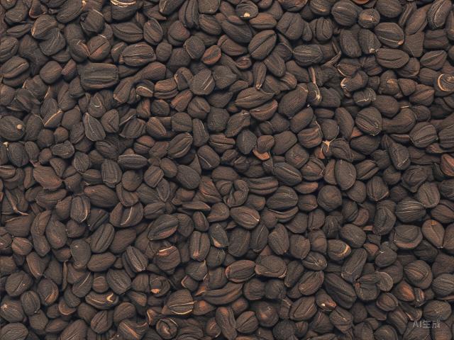 Exploring the Rich Heritage and Craft of Chinese Black Tea