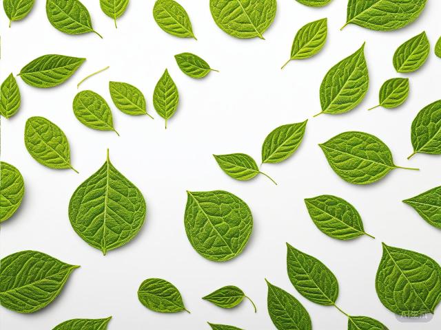 The Essence of Chinese Green Tea: A Journey Through History, Variety, Craft, and Tasting