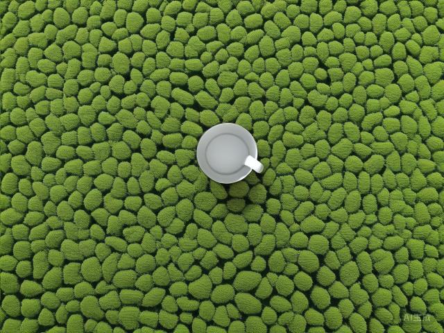 The Essence of Chinese Green Tea: A Journey Through History, Variety, Craftsmanship, and Appreciation