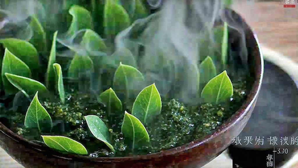 Oolong Tea